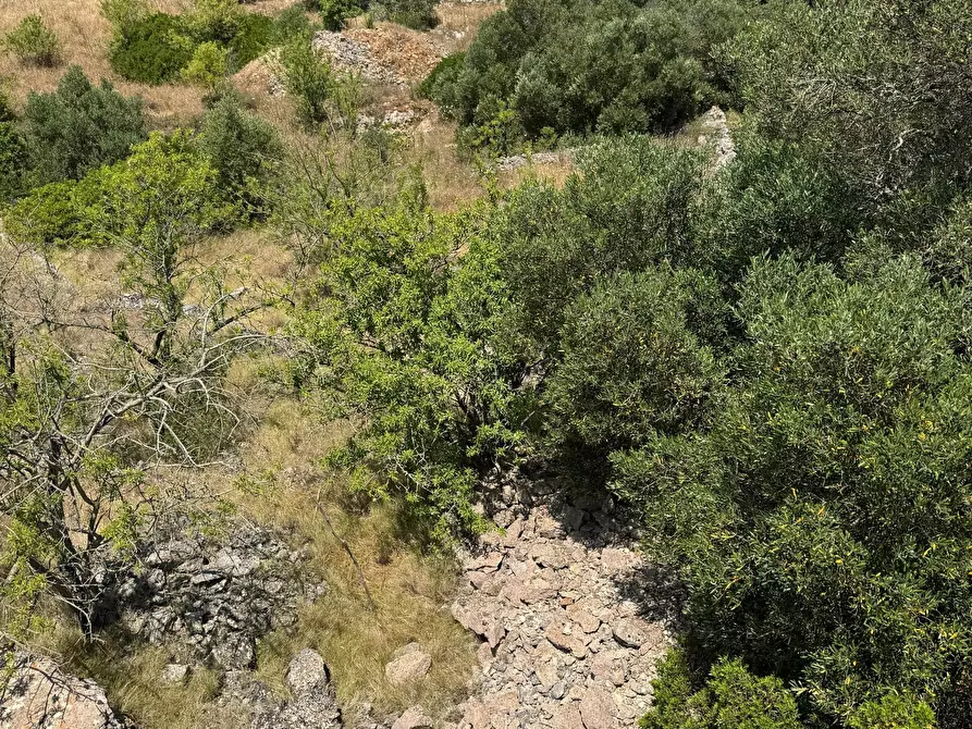 Immagine 37 di Casa indipendente in vendita  in santuario san biagio a Ostuni
