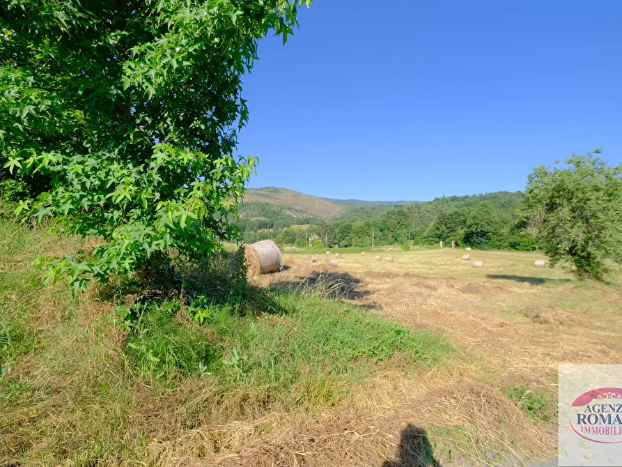 Immagine 28 di Casa trifamiliare in vendita  in località GROSSA a Sassello