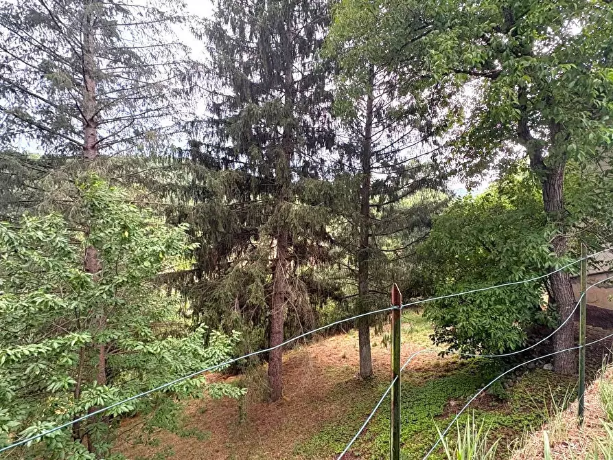 Immagine 47 di Rustico / casale in vendita  in SP216 6 a Pareto