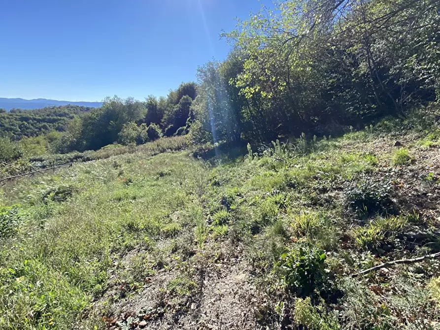 Immagine 19 di Terratetto in vendita  a Dego