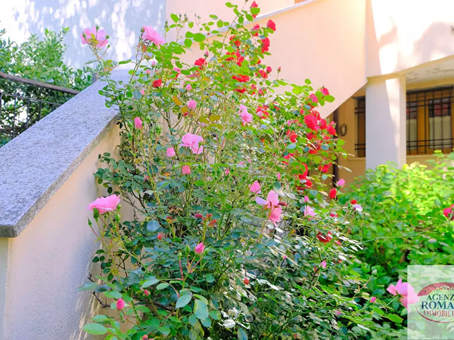 Immagine 4 di Trilocale in vendita  in Localita' Molana 27 a Sassello