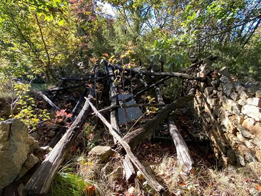 Immagine 3 di Rustico / casale in vendita  in Loc Ormei a Ponzone