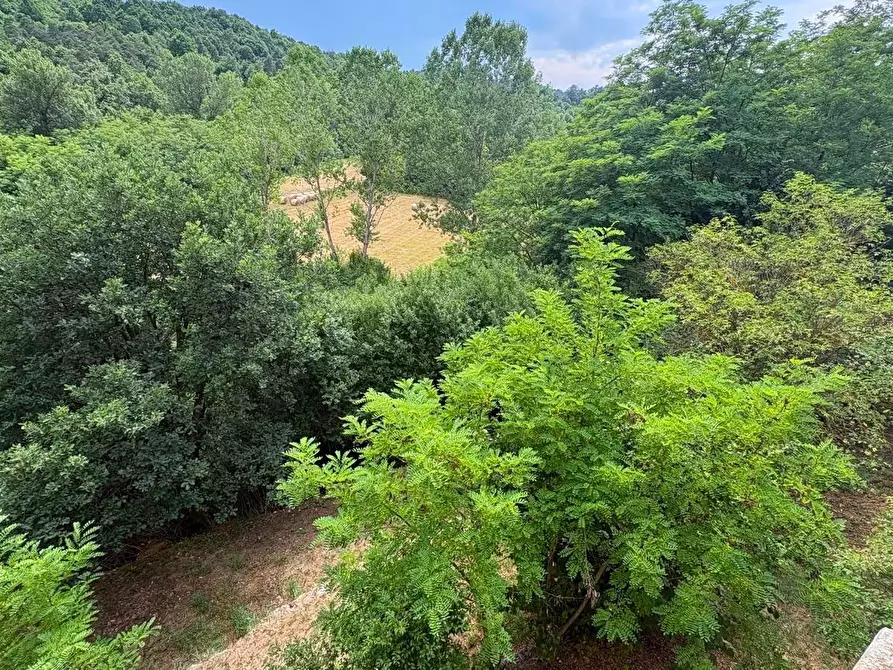 Immagine 51 di Rustico / casale in vendita  in SP216 6 a Pareto