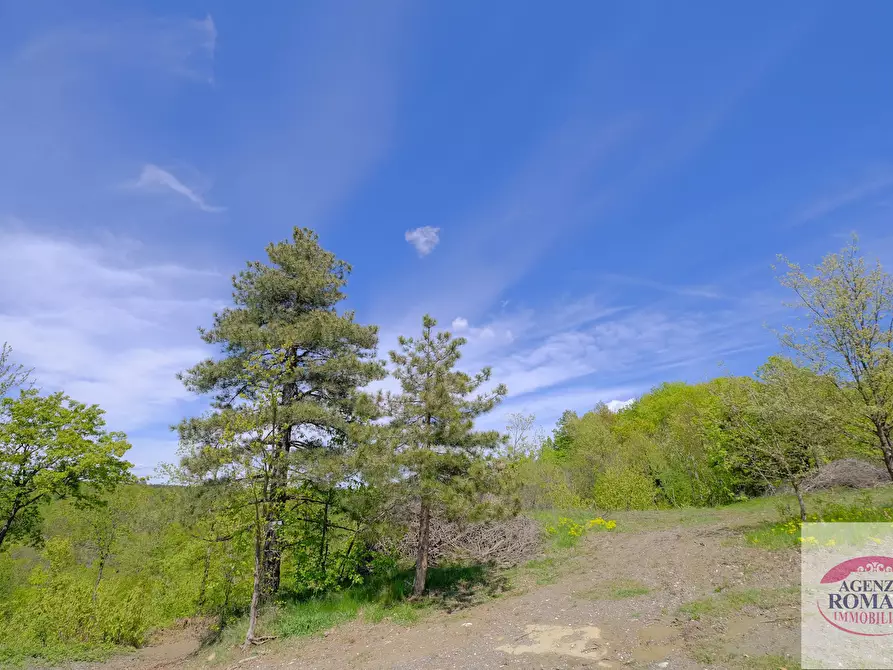 Immagine 19 di Rustico / casale in vendita  in Corso Bovio 2 a Giusvalla