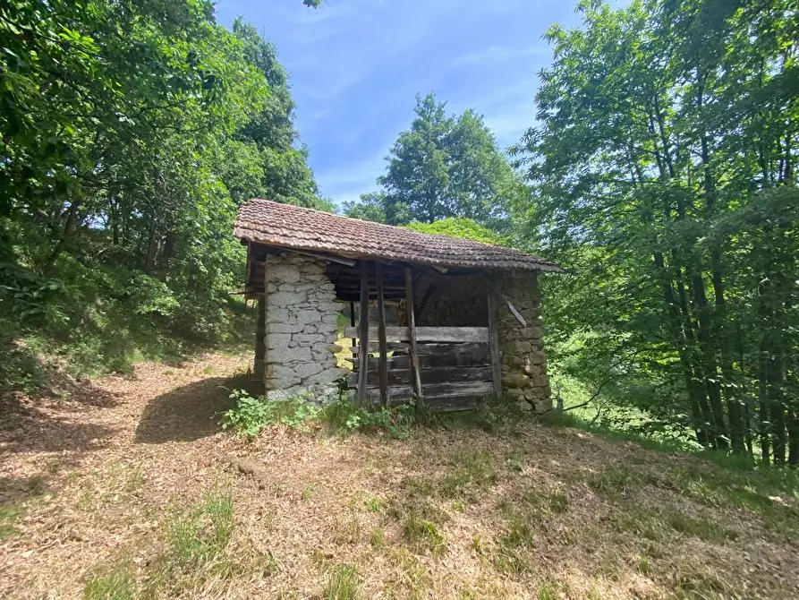 Immagine 20 di Rustico / casale in vendita  a Giusvalla