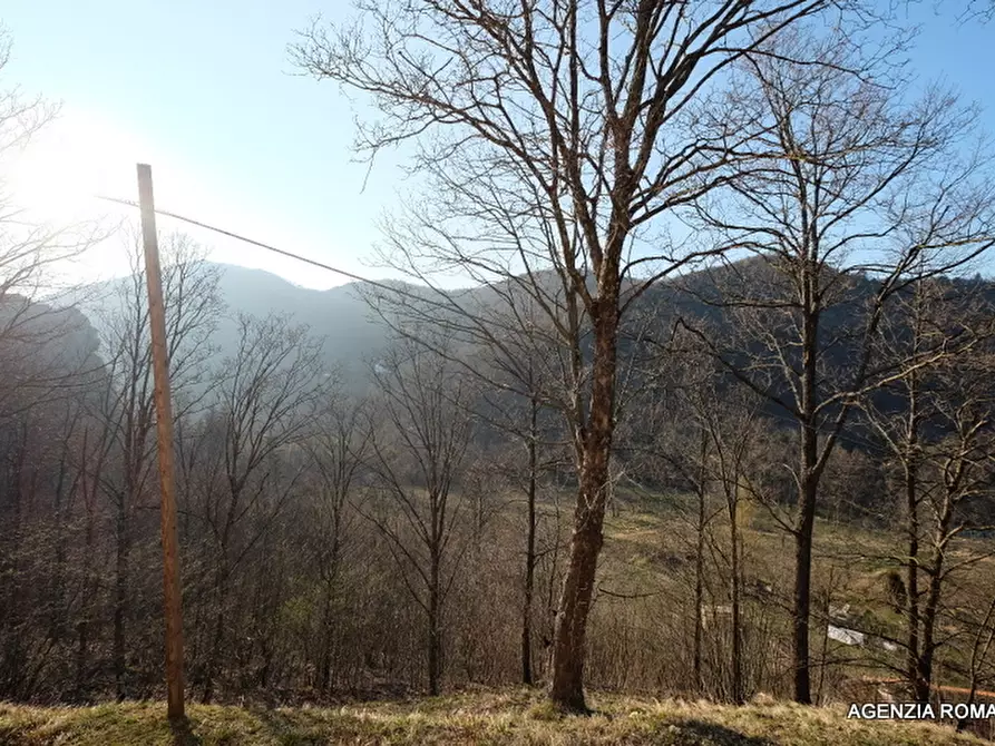 Immagine 19 di Rustico / casale in vendita  a Urbe