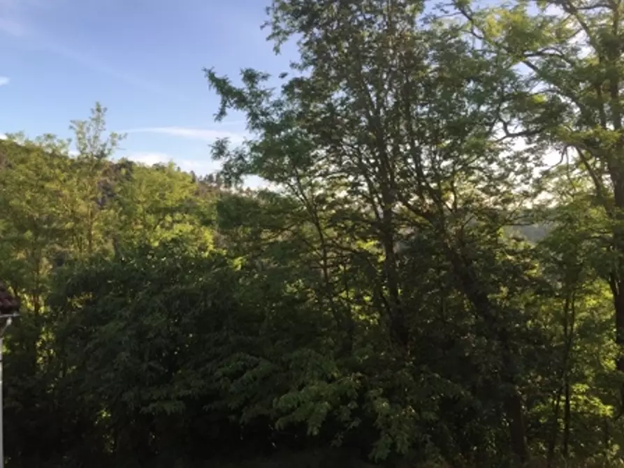 Immagine 31 di Appartamento in vendita  in via piazze 1 a Cremolino