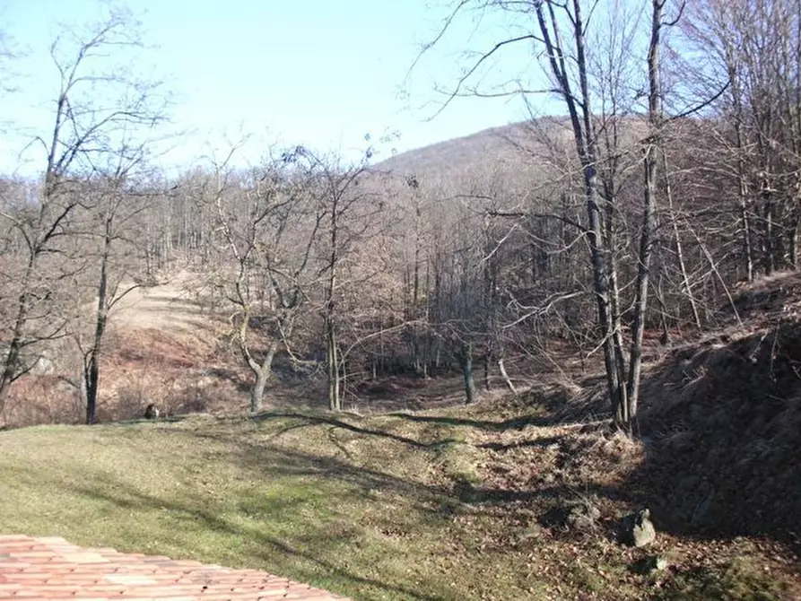 Immagine 20 di Rustico / casale in vendita  in SP542 25 a Pontinvrea