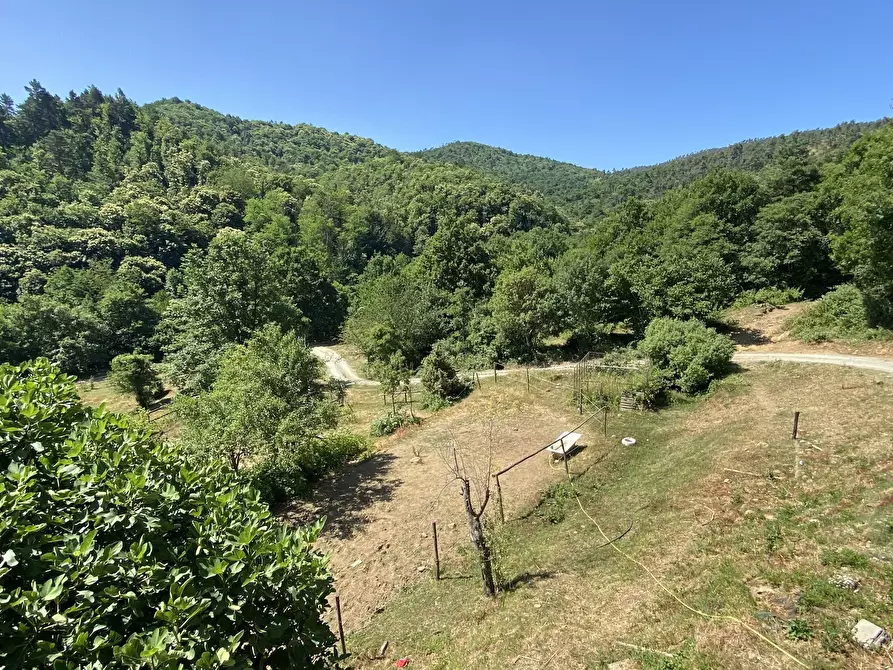 Immagine 11 di Rustico / casale in vendita  in Località Bonuzzo 22 a Sassello