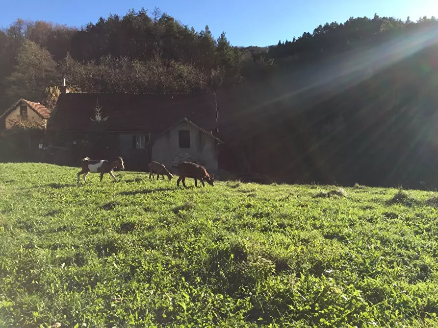 Immagine 7 di Rustico / casale in vendita  a Sassello