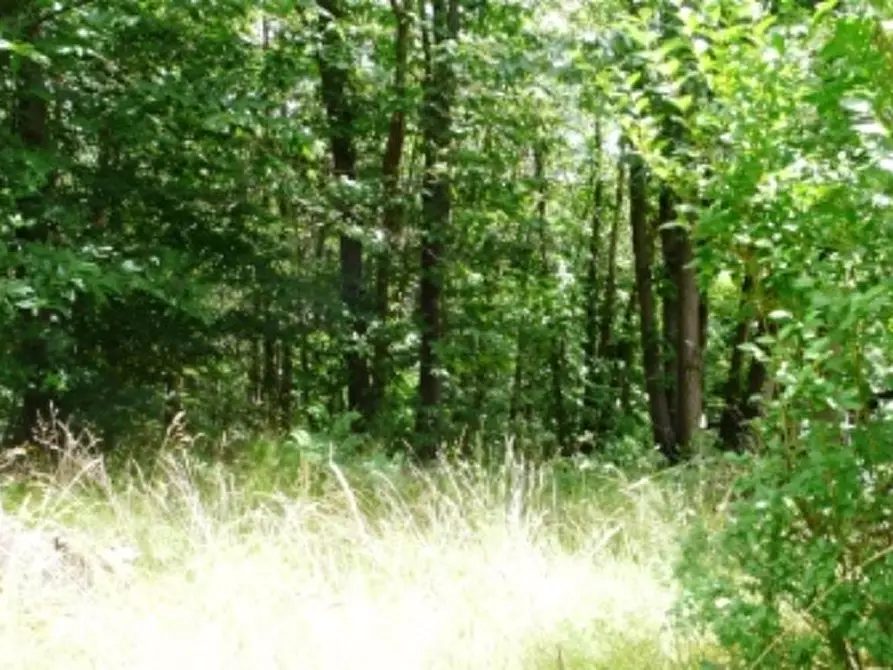 Immagine 13 di Appartamento in vendita  a Urbe