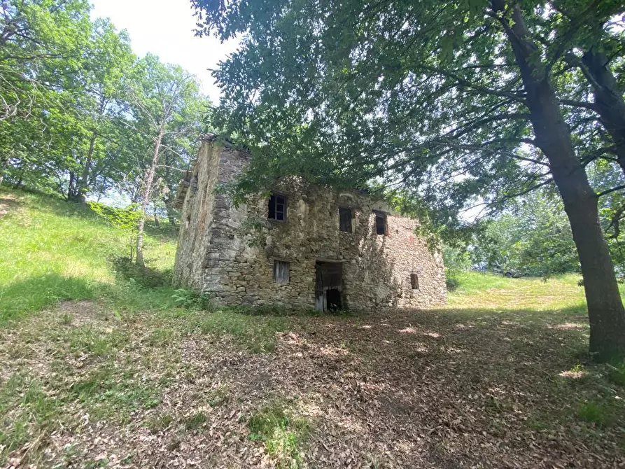Immagine 3 di Rustico / casale in vendita  a Giusvalla