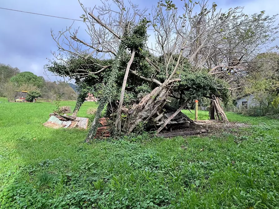 Immagine 18 di Terratetto in vendita  a Stella