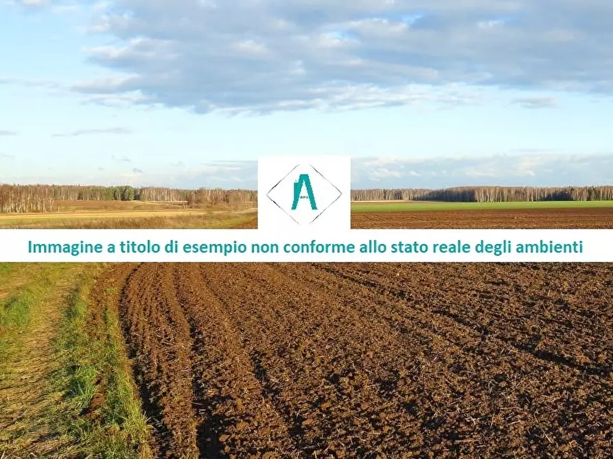 Immagine 5 di Terreno edificabile in vendita  in Strada Provinciale 59 snc a Vallecrosia