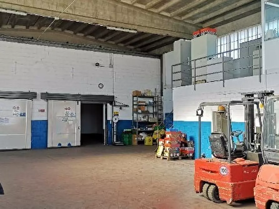 Immagine 3 di Attività artigianale in vendita  in Regione Rollo 14 a Albenga