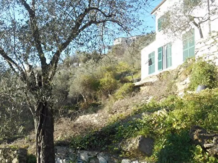 Immagine 1 di Villa in vendita  in Via IV Novembre snc a Leivi