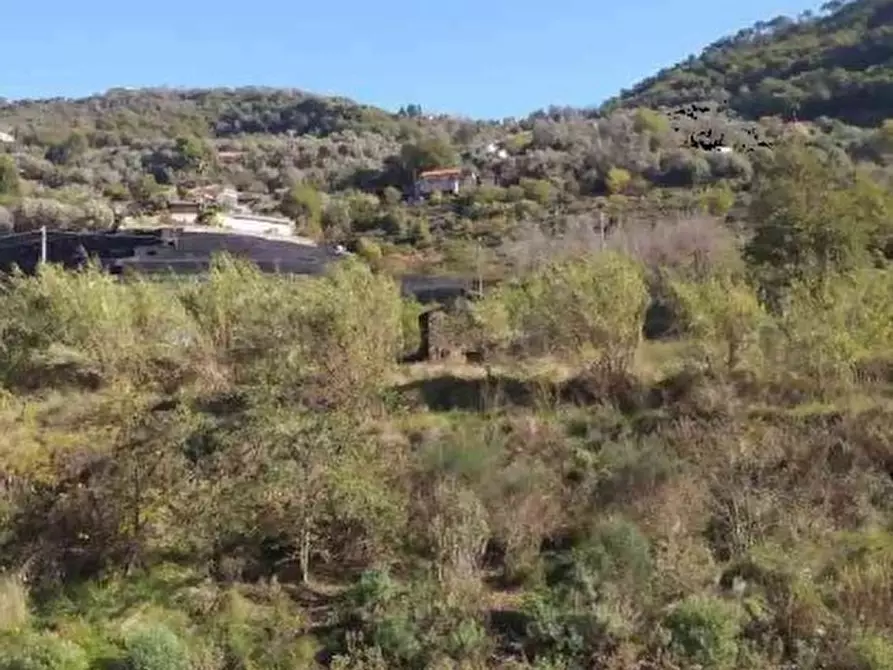 Immagine 1 di Terreno edificabile in vendita  in Strada Provinciale 59 snc a Vallecrosia