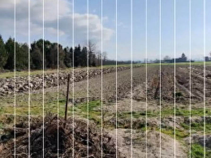 Immagine 7 di Pentalocale in vendita  in Strada Ceroggia 3 a Castelnuovo Scrivia