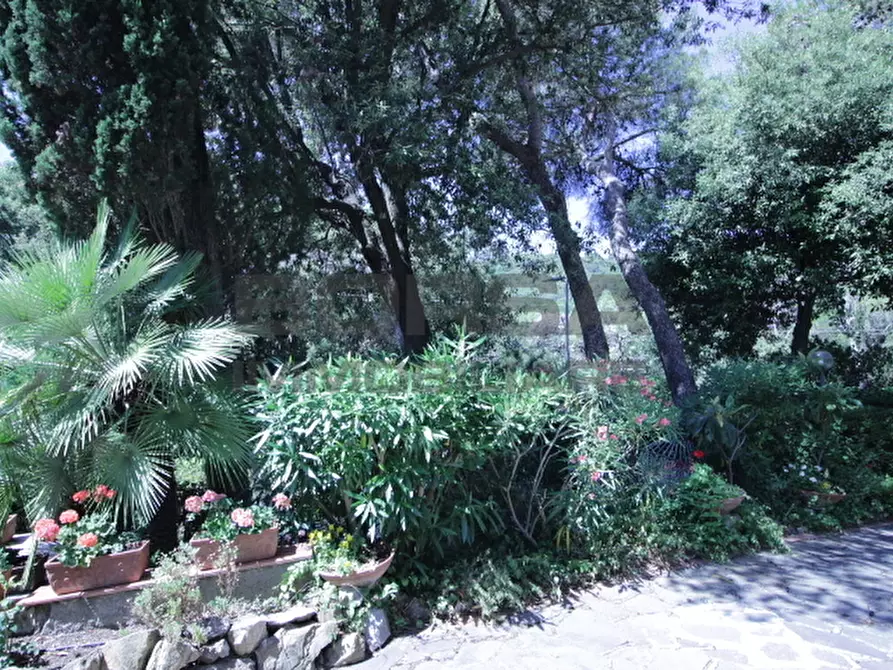 Immagine 4 di Terratetto in vendita  in Via Kaiser Parodi a Livorno