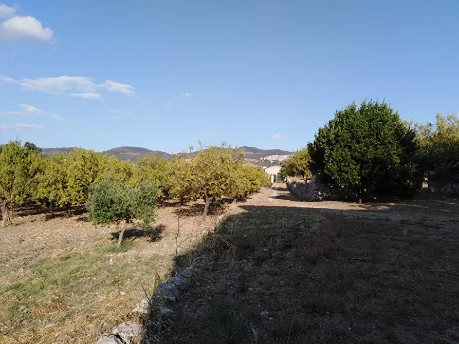 Immagine 22 di Villa in vendita  a Chiaramonte Gulfi