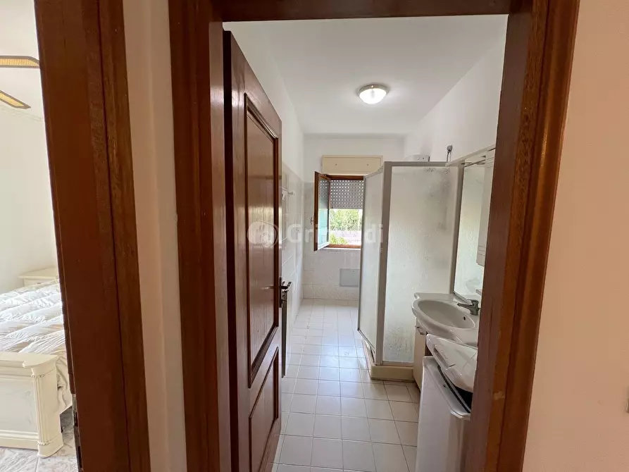 Immagine 13 di Trilocale in affitto  in Via della Seccia 93 a Nettuno