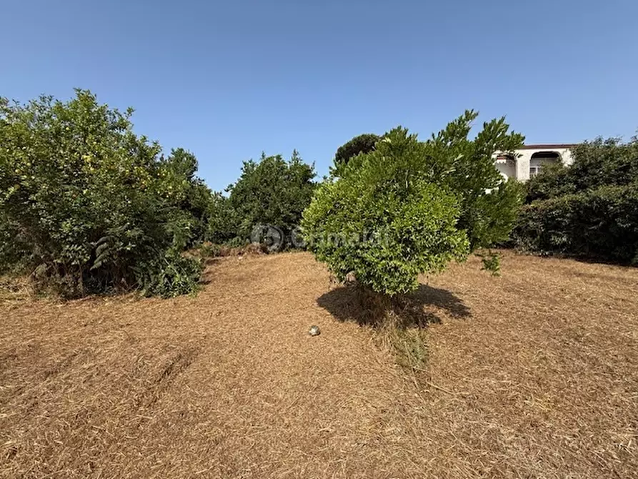 Immagine 15 di Terreno edificabile in vendita  in Via Viminale a Nettuno