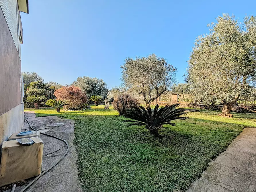 Immagine 12 di Villa in vendita  in Via Granieri 56 a Nettuno