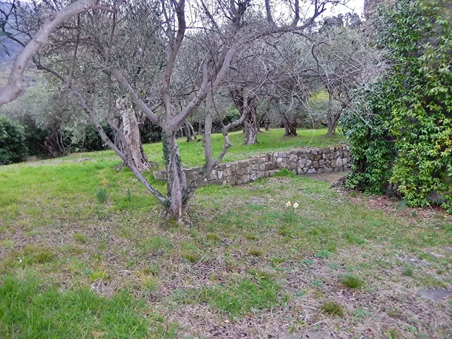 Immagine 2 di Villa in vendita  in Località Salice a Bonassola