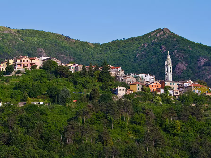 Immagine 11 di Terreno edificabile in vendita  in Via San Nicolao 18 a Castiglione Chiavarese
