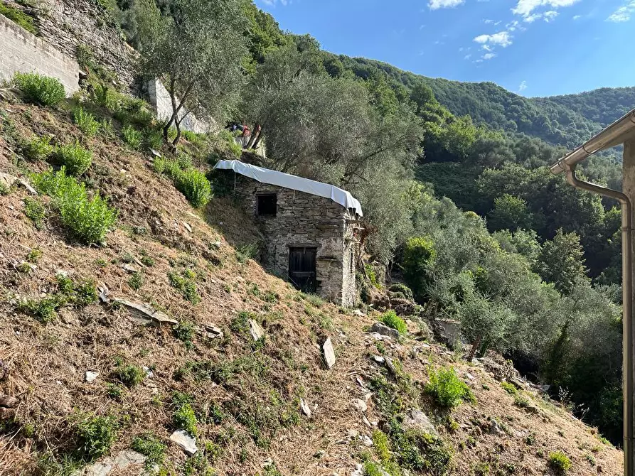 Immagine 2 di Terratetto in vendita  in Via Colla 8 a Carasco