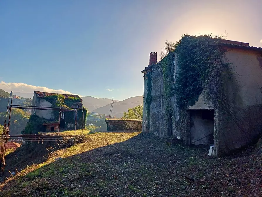 Immagine 4 di Rustico / casale in vendita  in Via Olivella Caminata 17 a Casarza Ligure