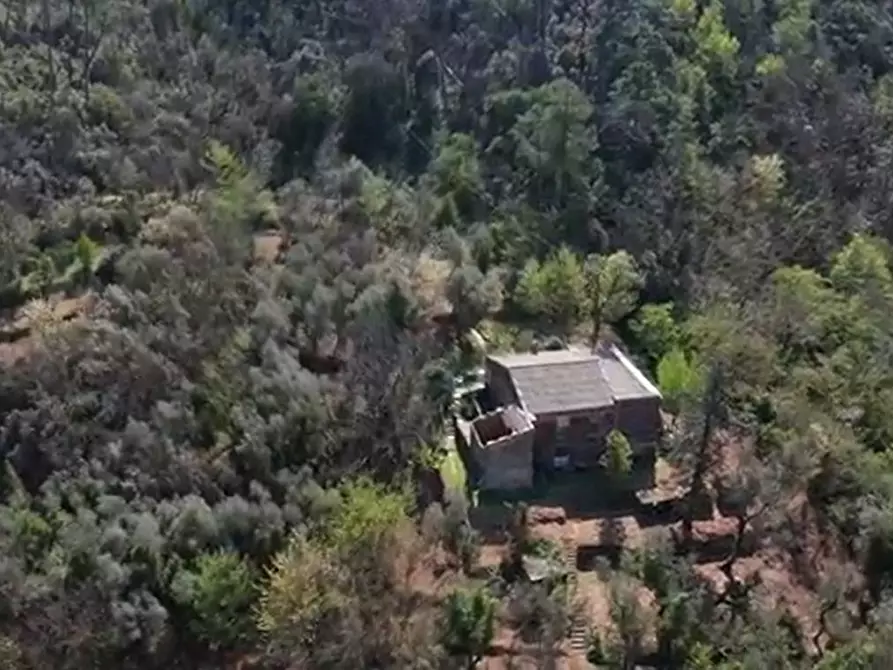 Immagine 3 di Rustico / casale in vendita  in Via dei Cogorno 110 a Cogorno