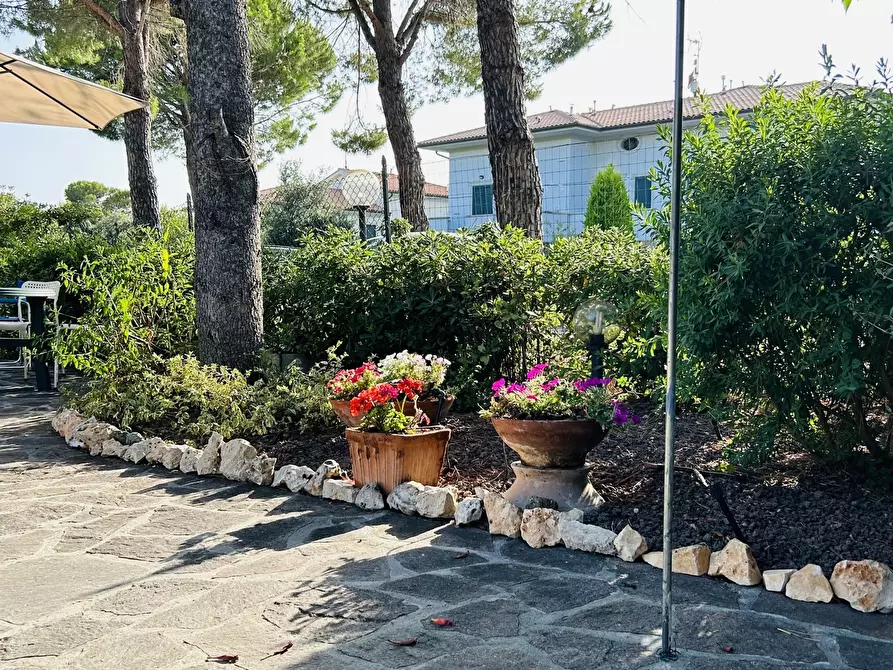 Immagine 23 di Trilocale in vendita  a Rosignano Marittimo