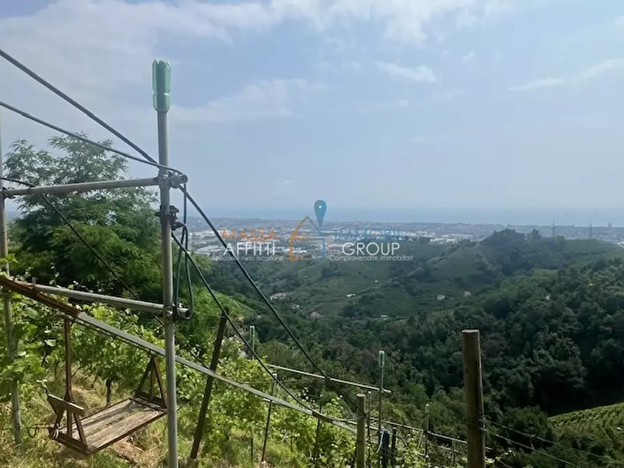 Immagine 22 di Terreno agricolo in vendita  in Viottolo Pianamaggio 1 a Massa