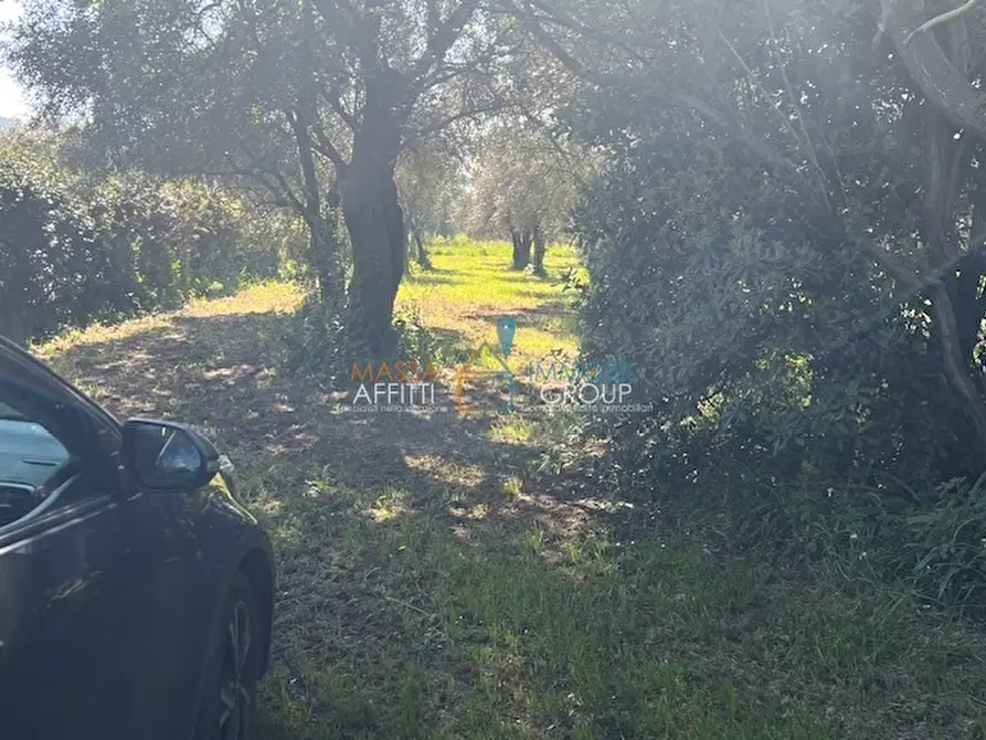 Immagine 25 di Terratetto in vendita  in Via dell'Acqua 151 a Massa