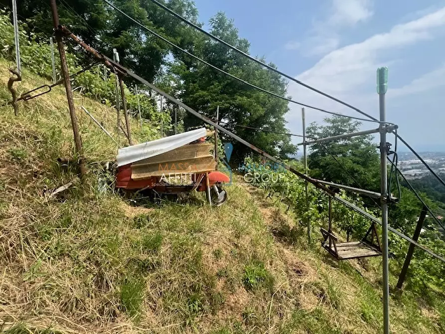 Immagine 16 di Terreno agricolo in vendita  in Viottolo Pianamaggio 1 a Massa