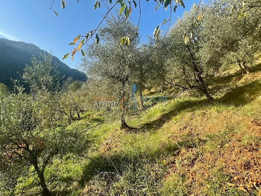 Immagine 44 di Casa indipendente in vendita  in Via San Vitale 7 a Massa