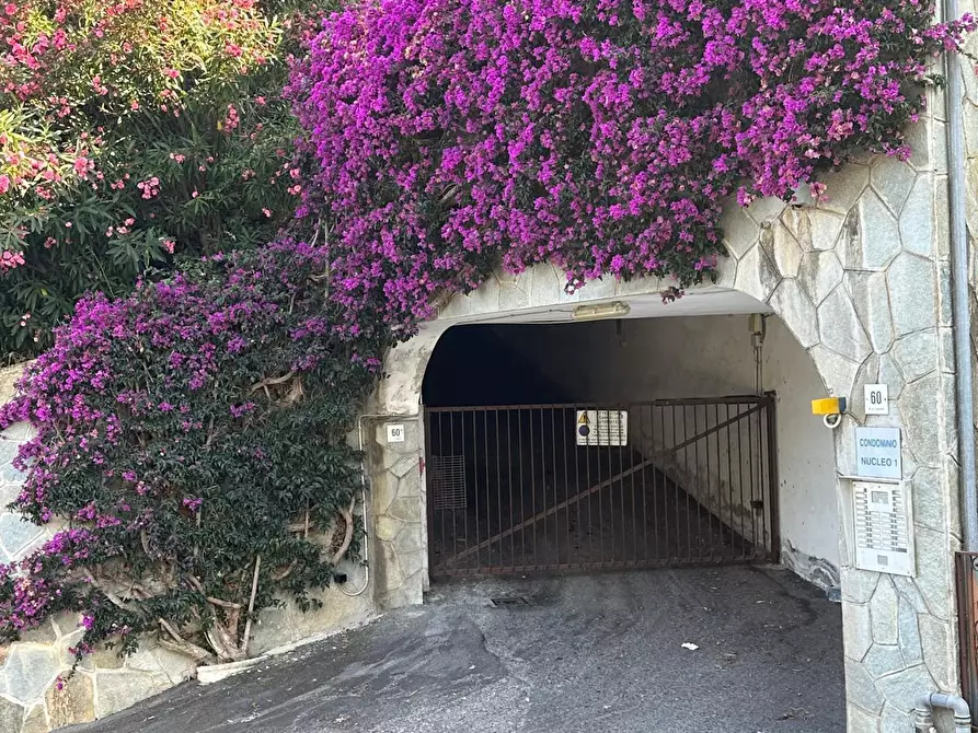 Immagine 18 di Trilocale in vendita  in Via Giunchetto 60 a Laigueglia