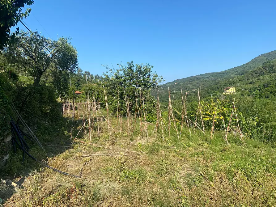 Immagine 13 di Trilocale in vendita  a Stellanello