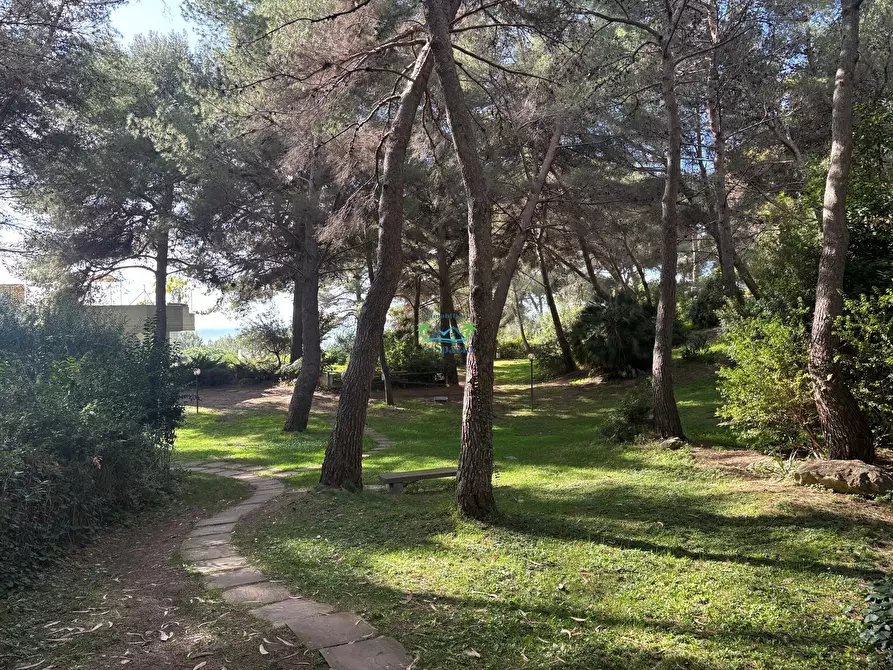 Immagine 30 di Bilocale in vendita  in Via Aurelia 48 a Andora