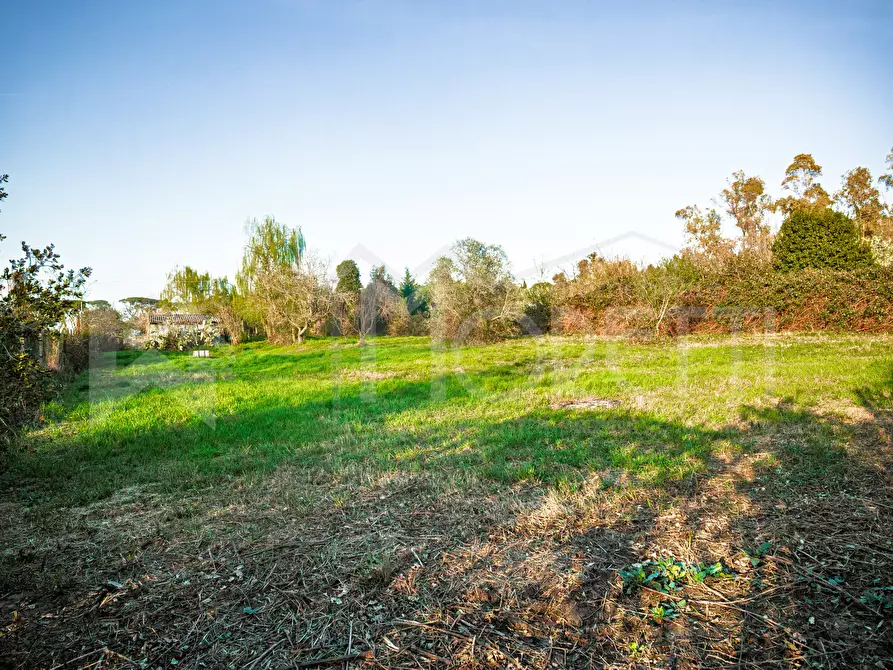 Immagine 42 di Terreno agricolo in vendita  in Via delle Sorgenti a Livorno