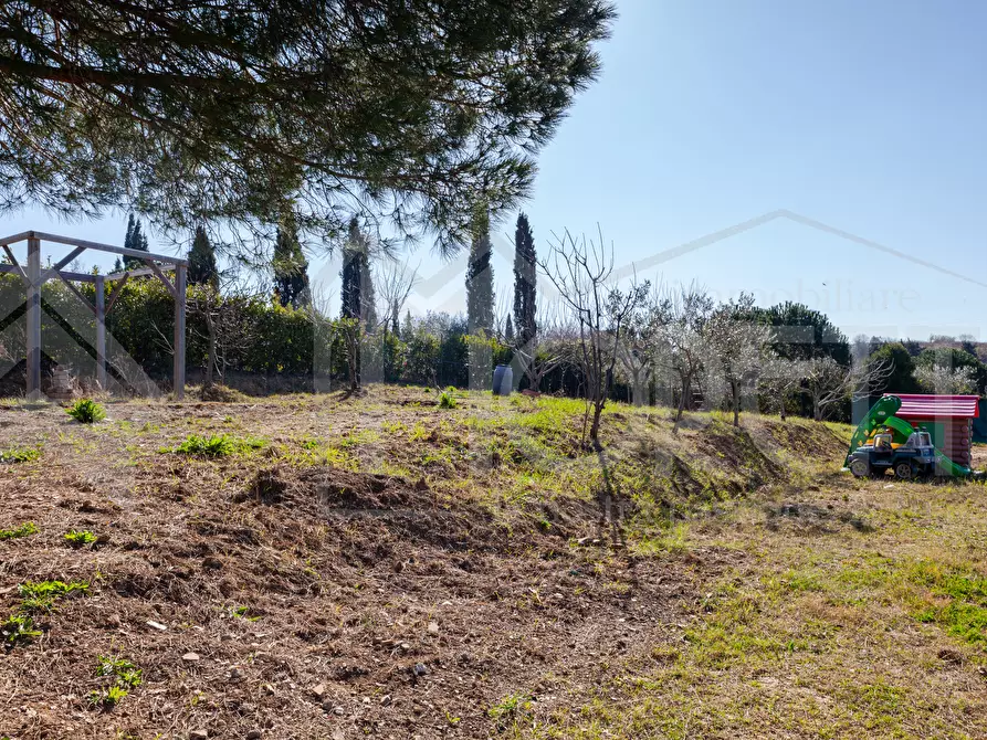 Immagine 4 di Terreno agricolo in vendita  in Via delle Sorgenti a Livorno