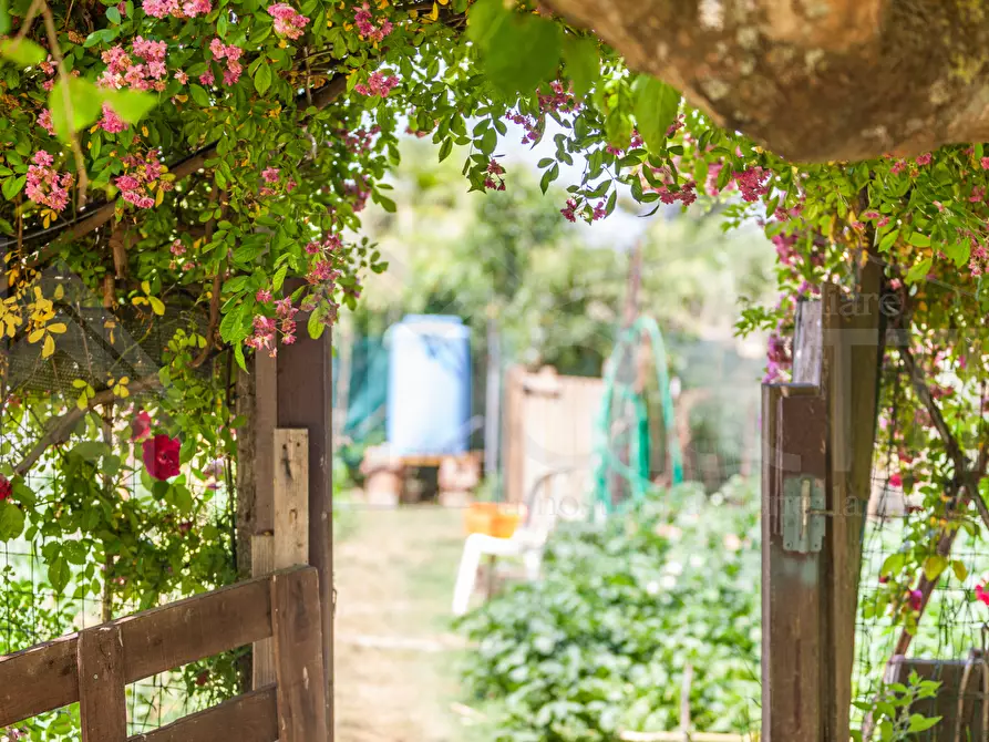 Immagine 17 di Terreno agricolo in vendita  in Via dell'Uliveta a Livorno