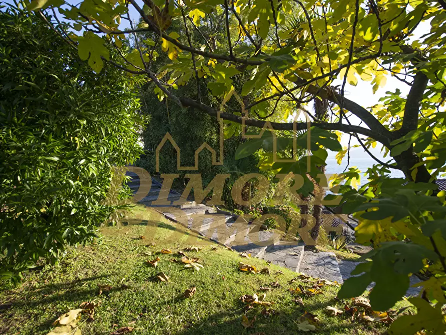 Immagine 9 di Villa in vendita  a Ghiffa