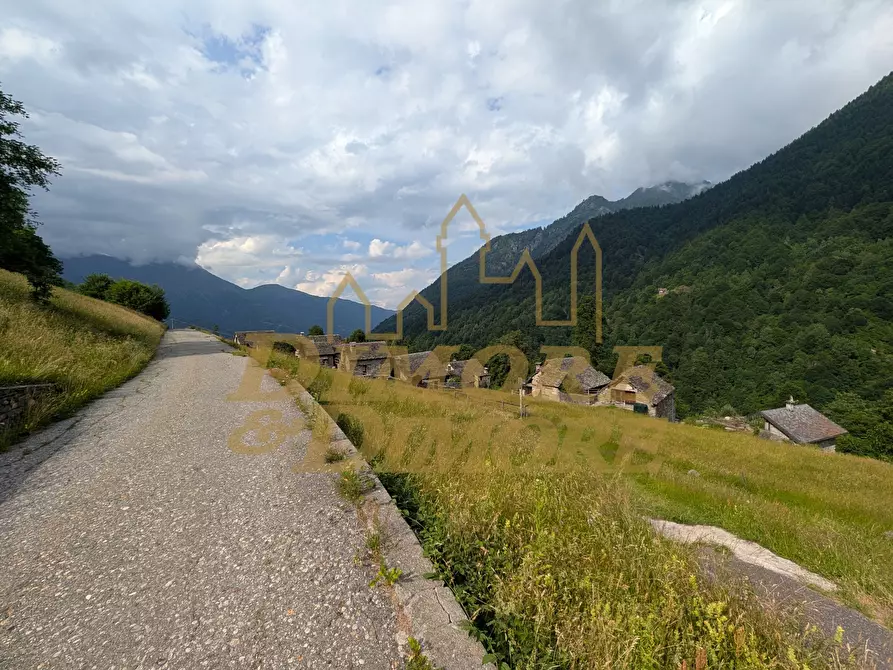 Immagine 3 di Rustico / casale in vendita  a Bannio Anzino