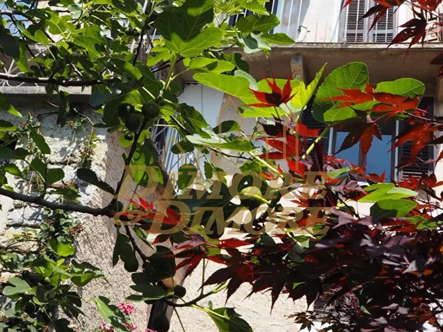 Immagine 57 di Baita in vendita  a Valle Cannobina