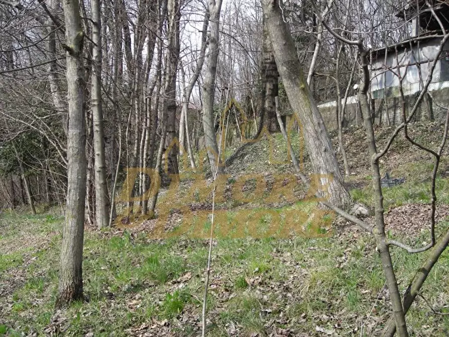 Immagine 22 di Rustico / casale in vendita  in via San Gaudenzio 14 a Verbania