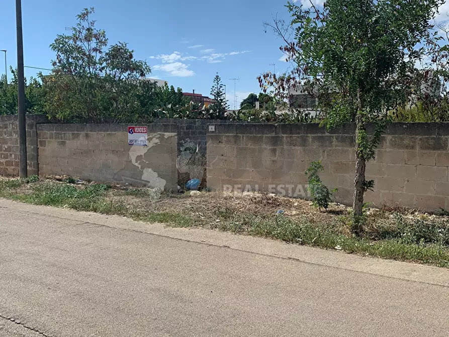 Immagine 8 di Terreno agricolo in vendita  in Via Monsignor Paladini 4 a Carmiano
