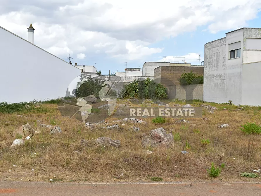 Immagine 5 di Terreno agricolo in vendita  in via morandi a San Donato Di Lecce
