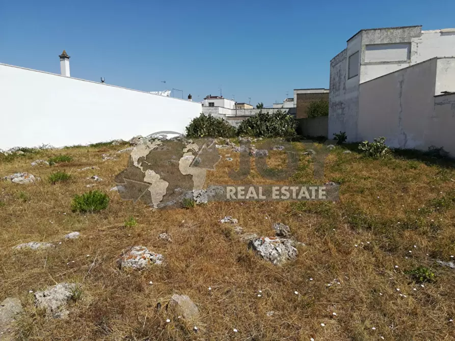 Immagine 1 di Terreno agricolo in vendita  in via morandi a San Donato Di Lecce